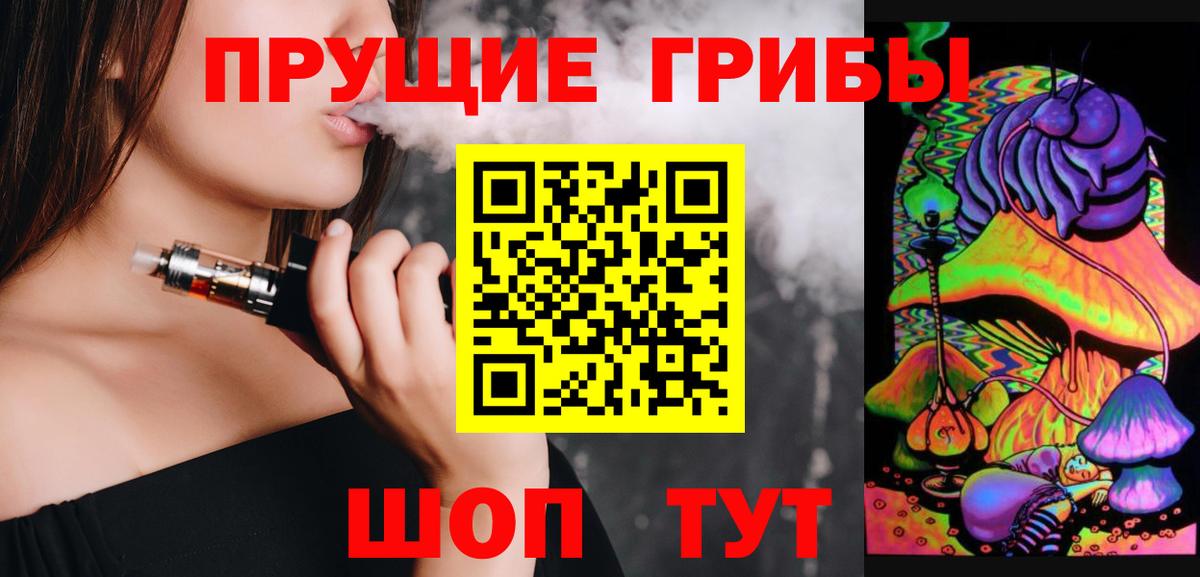 Псилоцибиновые грибы Psilocybe Отрадный