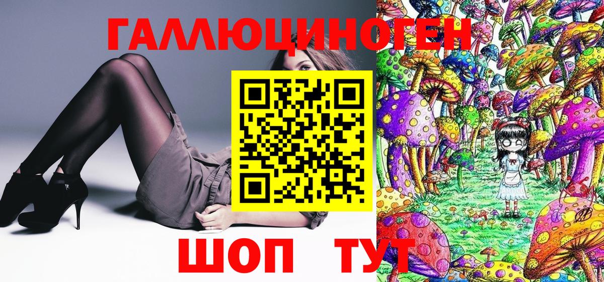 Галлюциногенные грибы MAGIC MUSHROOMS  Псилоцибиновые грибы MAGIC MUSHROOMS  Вход с VPN  наркота  Отрадный 