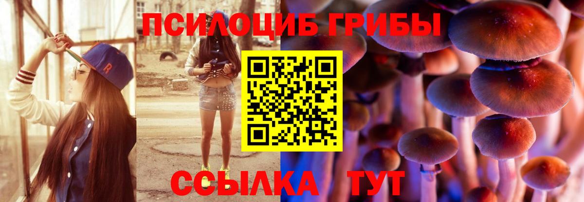 ГАШИШ Отрадный